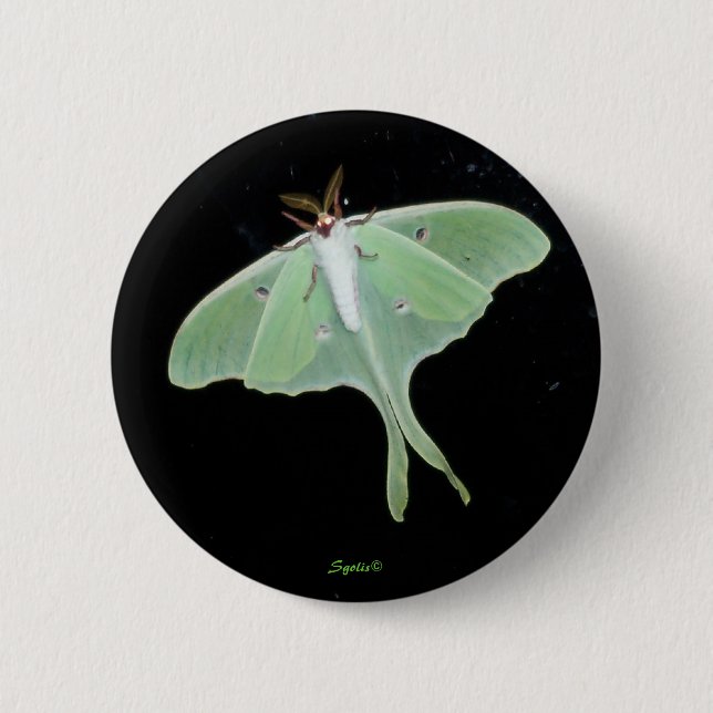 Botón Luna Moth Insect (Anverso)