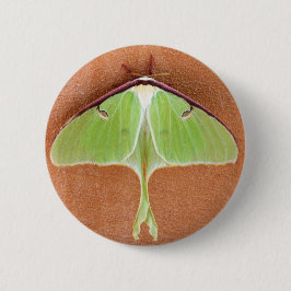 Botón Luna Moth Pin