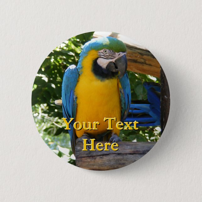 botón Macaw (Anverso)