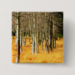 botón Madera de aspen