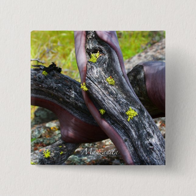 botón Manzanita (Anverso)