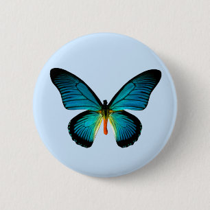 Botón mariposa azul
