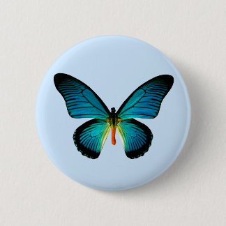 Botón mariposa azul