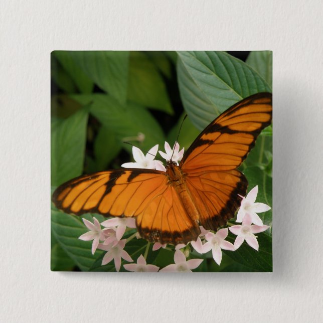 botón mariposa de Julia naranja (Anverso)