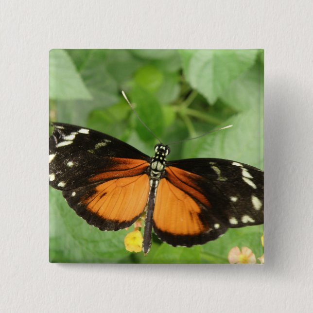 Botón mariposa de larga duración del tigre (Anverso)