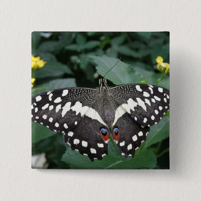botón Mariposa de limón y flores (Anverso)