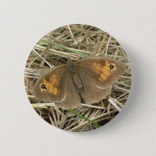 botón mariposa marrón marrón de pradera femenina