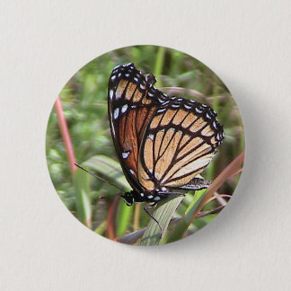 botón Mariposa monarca