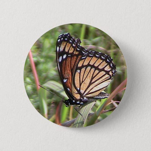 botón Mariposa monarca (Anverso)