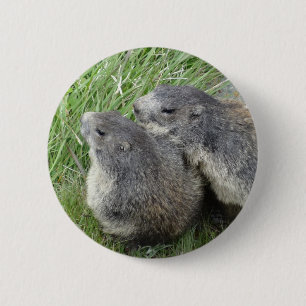 Botón Marmot