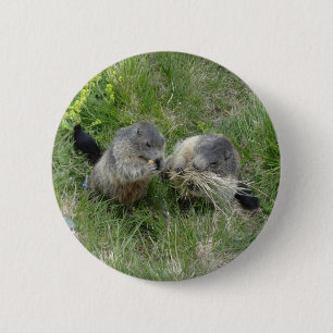 Botón Marmot