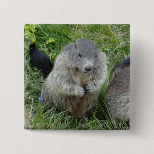 Botón Marmot