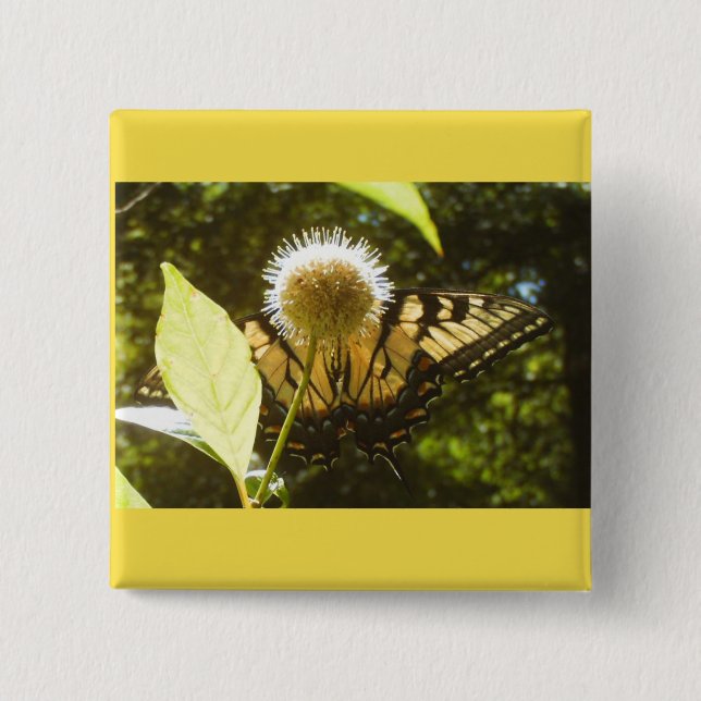 botón Monarca amarillo (Anverso)