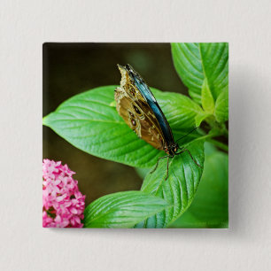 Botón Morfo Azul 143