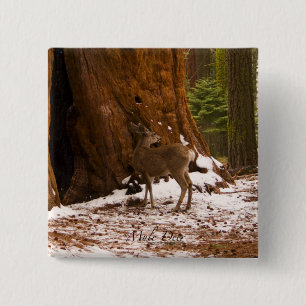 botón Mule Deer