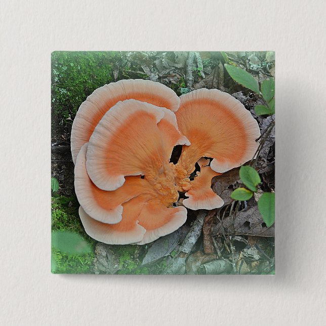 botón Mushroom (Anverso)