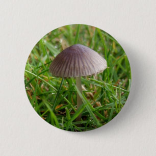 botón Mushroom