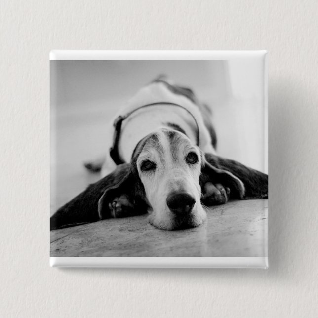 Botón negro y blanco de Basset Hound (Anverso)