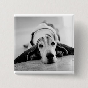 Botón negro y blanco de Basset Hound