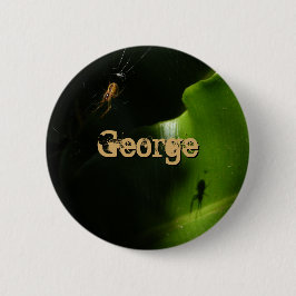 botón Nombre de araña pequeño