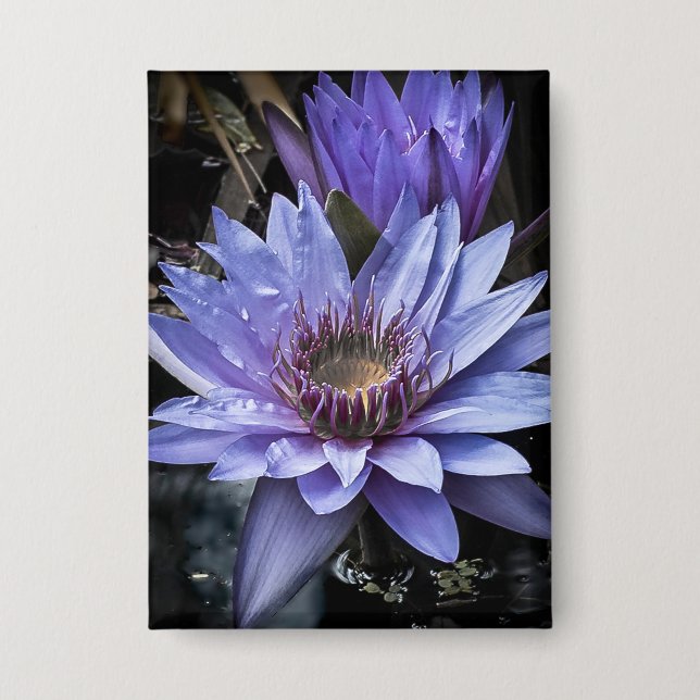 Botón "Nuevo azul" (Anverso)