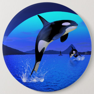 Botón Orca