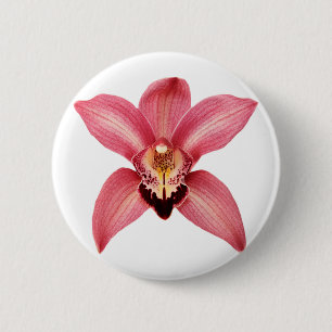 botón Orquídea
