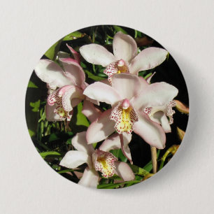 botón Orquídeas de cimbidio