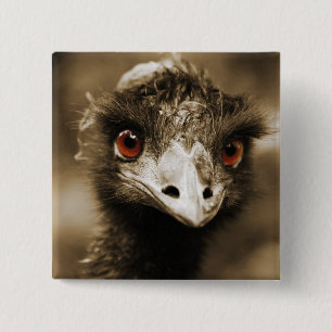 botón Ostriches Look