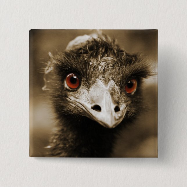 botón Ostriches Look (Anverso)
