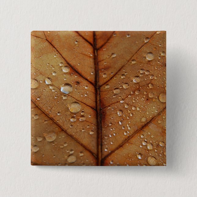 botón Otoño (Anverso)