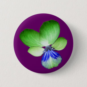 Botón Pansy verde y azul