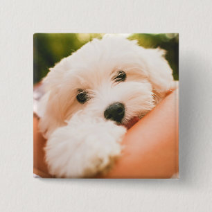 botón Perro de corte 9