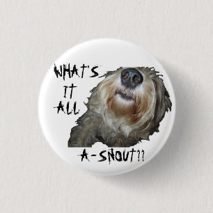 Botón Perro "QUÉ ES TODO A-SNOUT"
