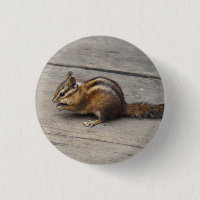 botón Pinback de Chipmunk