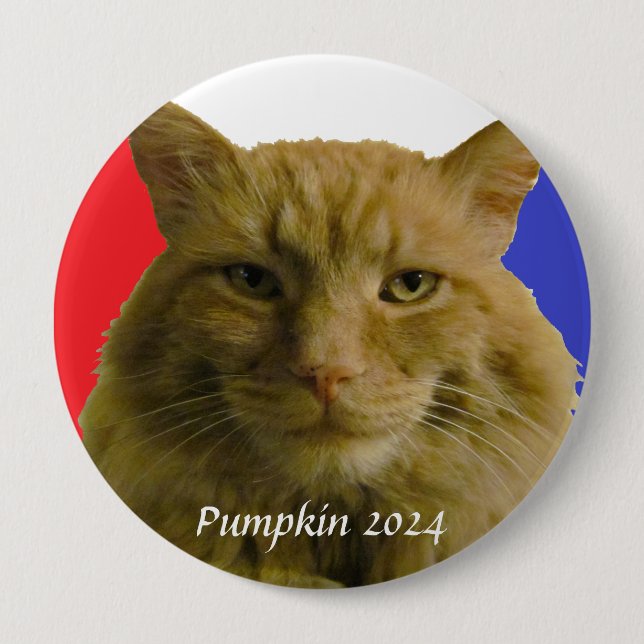 Botón Pinback de la campaña electoral de Pumpkin 2 (Anverso)