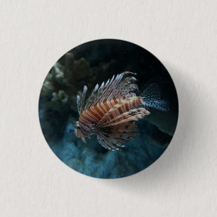Botón Pinback Red Lionfish