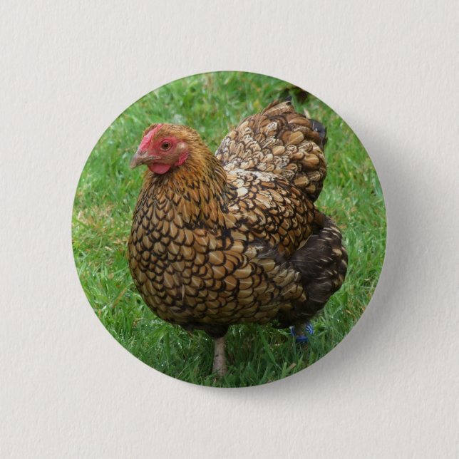 botón Pollo (Anverso)