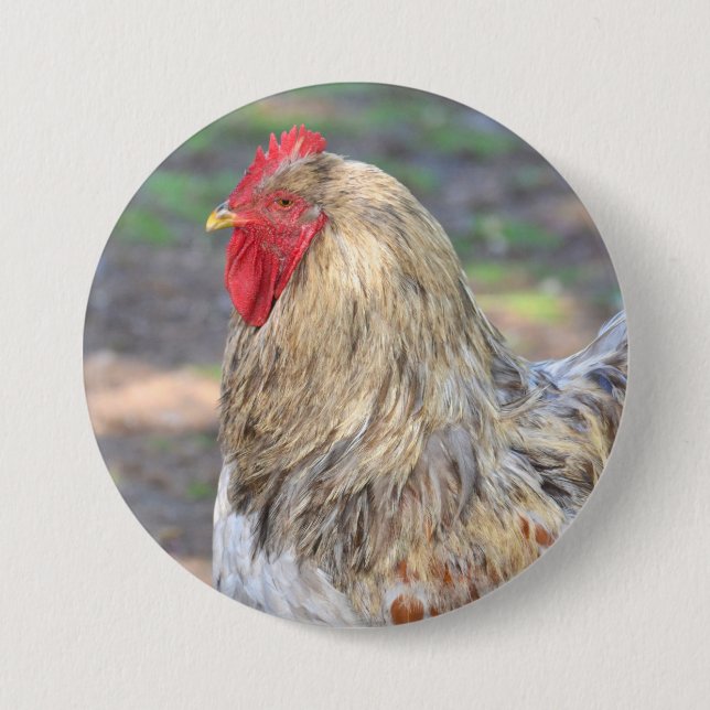 botón Pollo (Anverso)