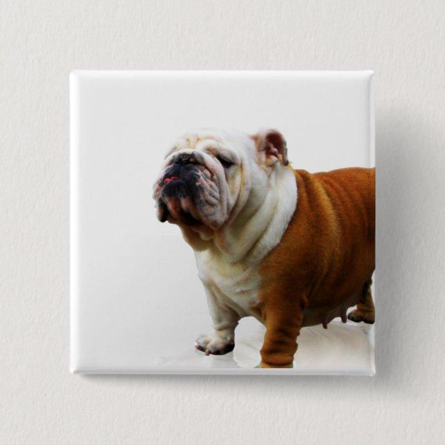 Botón presumido del bulldog (Anverso)