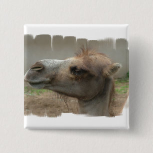 Botón principal del camello