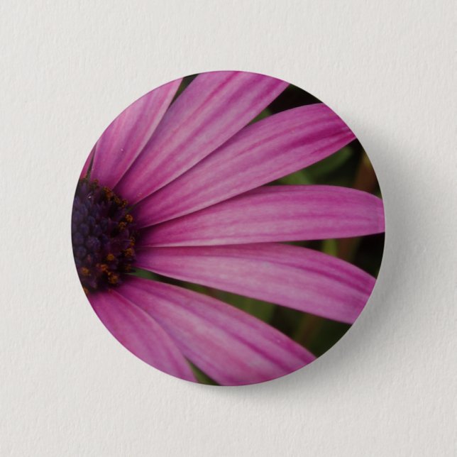Botón púrpura de Osteospurmum (Anverso)