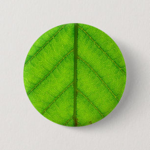 Botón redondo de la hoja verde