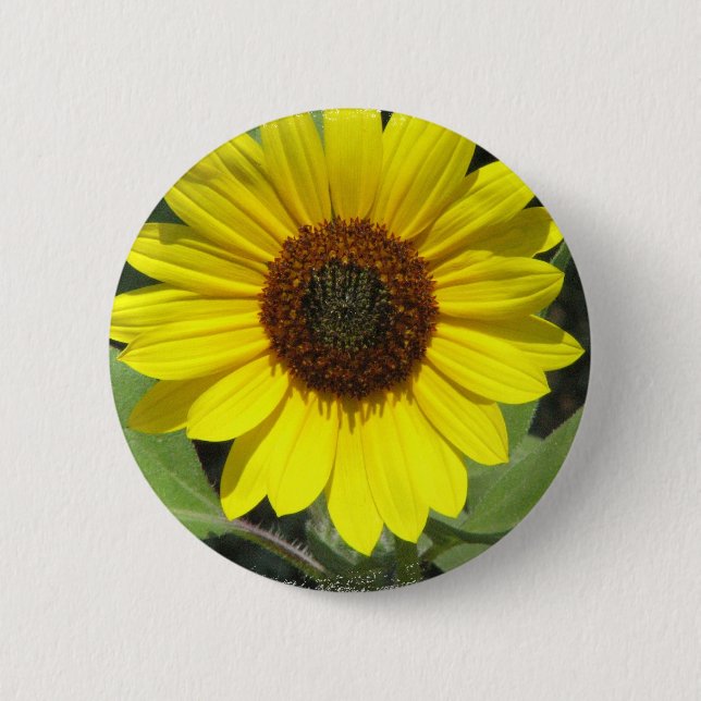 Botón redondo de la planta del girasol (Anverso)