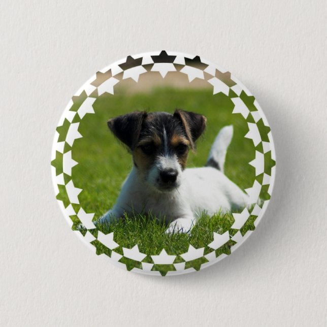 Botón redondo del perrito de Jack Russell (Anverso)