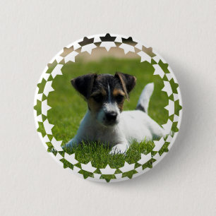 Botón redondo del perrito de Jack Russell