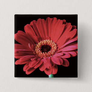 Botón rojo del cuadrado del Gerbera