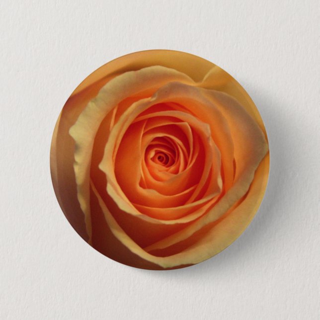botón Rosa amarillo (Anverso)