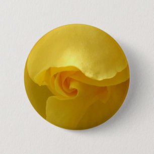 botón Rosa amarillo