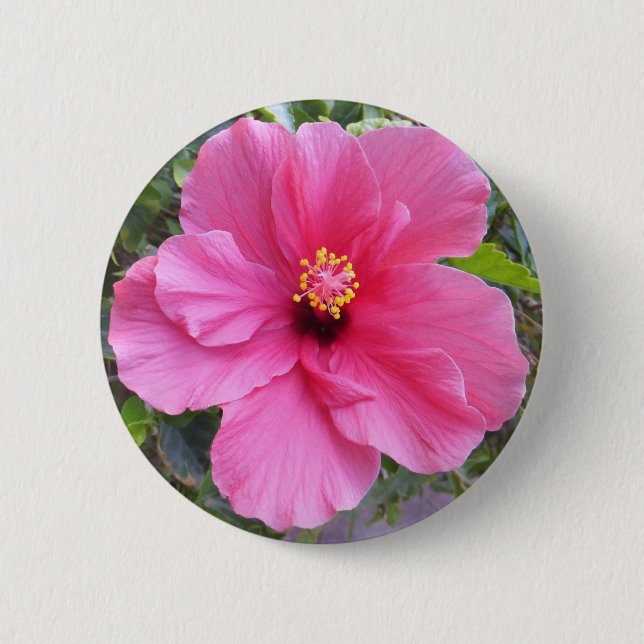 botón Rosa Hibiscus (Anverso)
